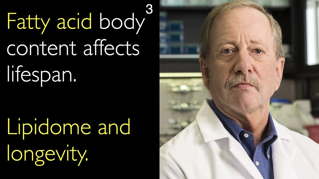 Fatty acid body content affects lifespan. Lipidome and longevity. 3